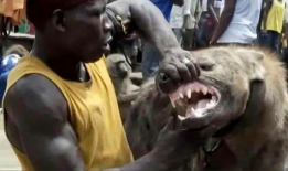 非洲视频,探寻神秘大陆的多元魅力